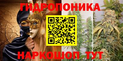 гашиш Шелехов