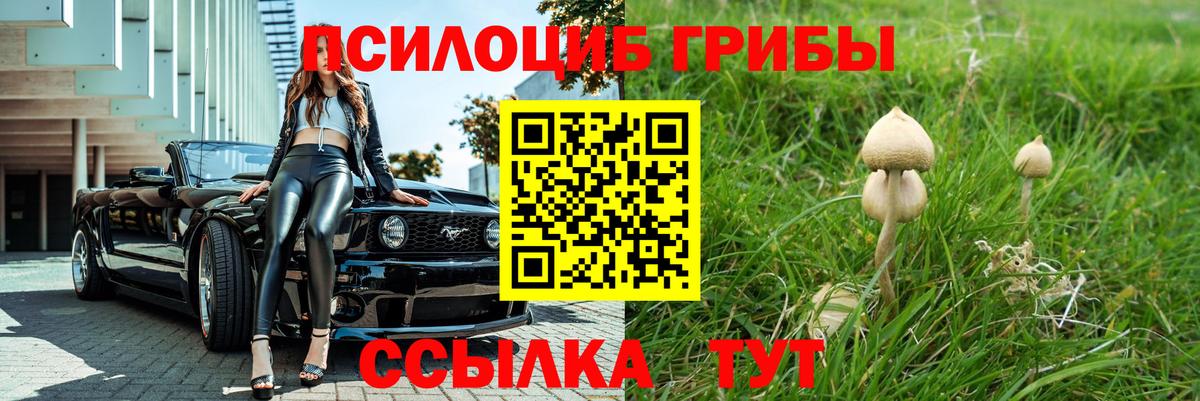 Псилоцибиновые грибы Psilocybine cubensis  Вход с VPN  Приморско-Ахтарск 