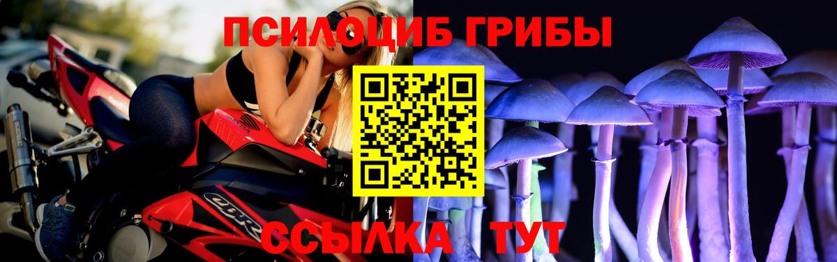 Псилоцибиновые грибы Psilocybine cubensis Приморско-Ахтарск